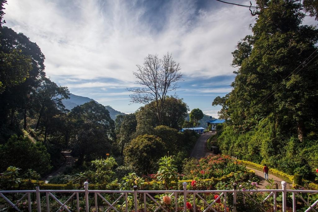 Hotel Olive Brook Munnar Pokoj fotografie