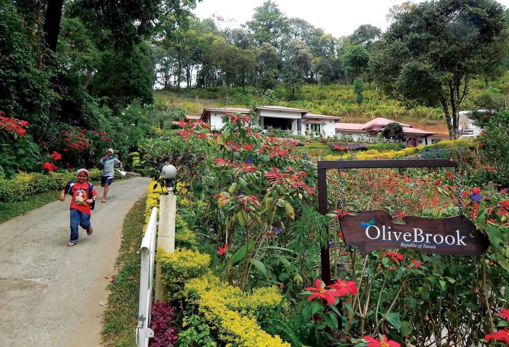 Hotel Olive Brook Munnar Exteriér fotografie