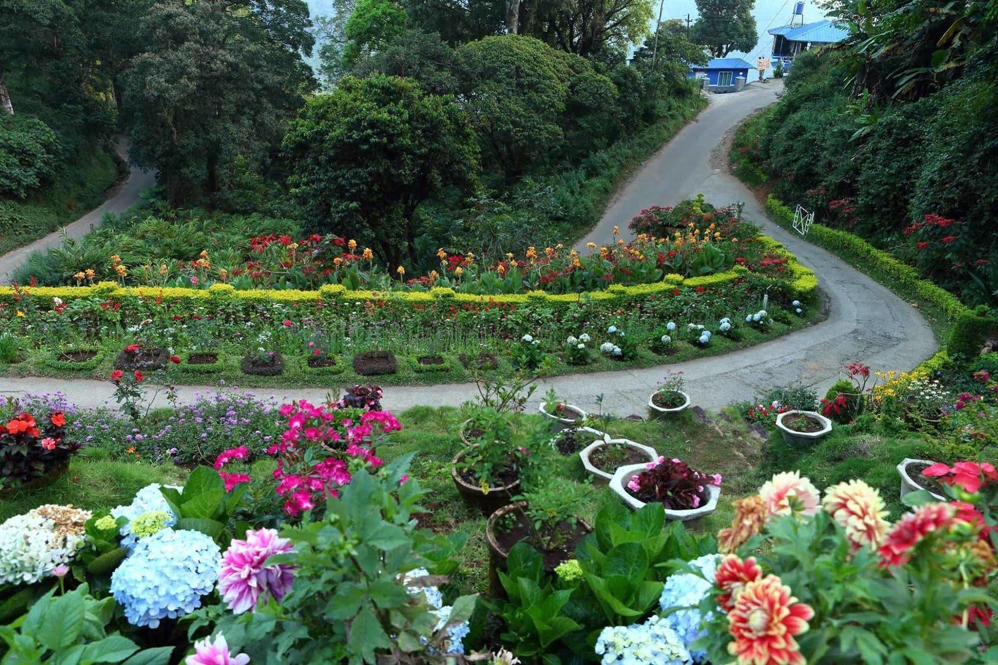 Hotel Olive Brook Munnar Exteriér fotografie